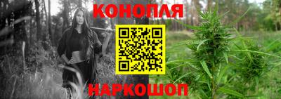 спайс Кинель